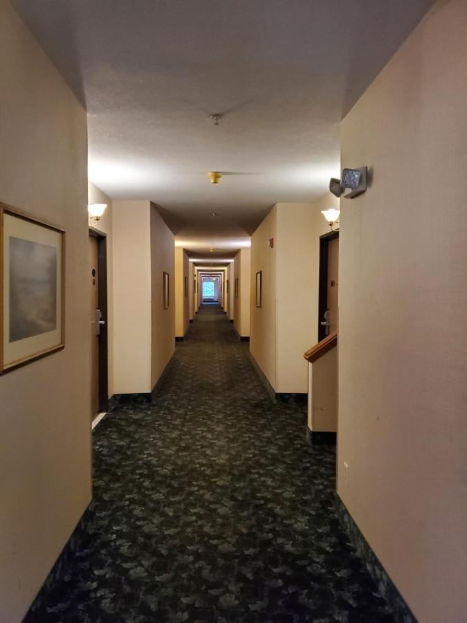 Bellis Inn Bellingham Bagian luar foto