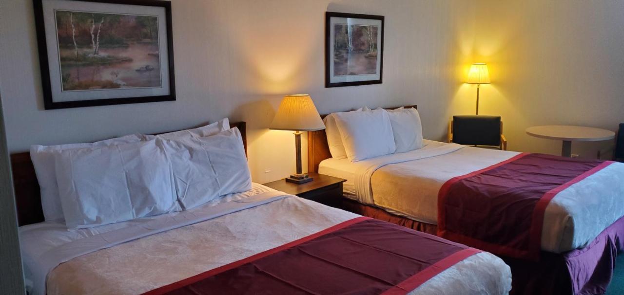 Bellis Inn Bellingham Bagian luar foto