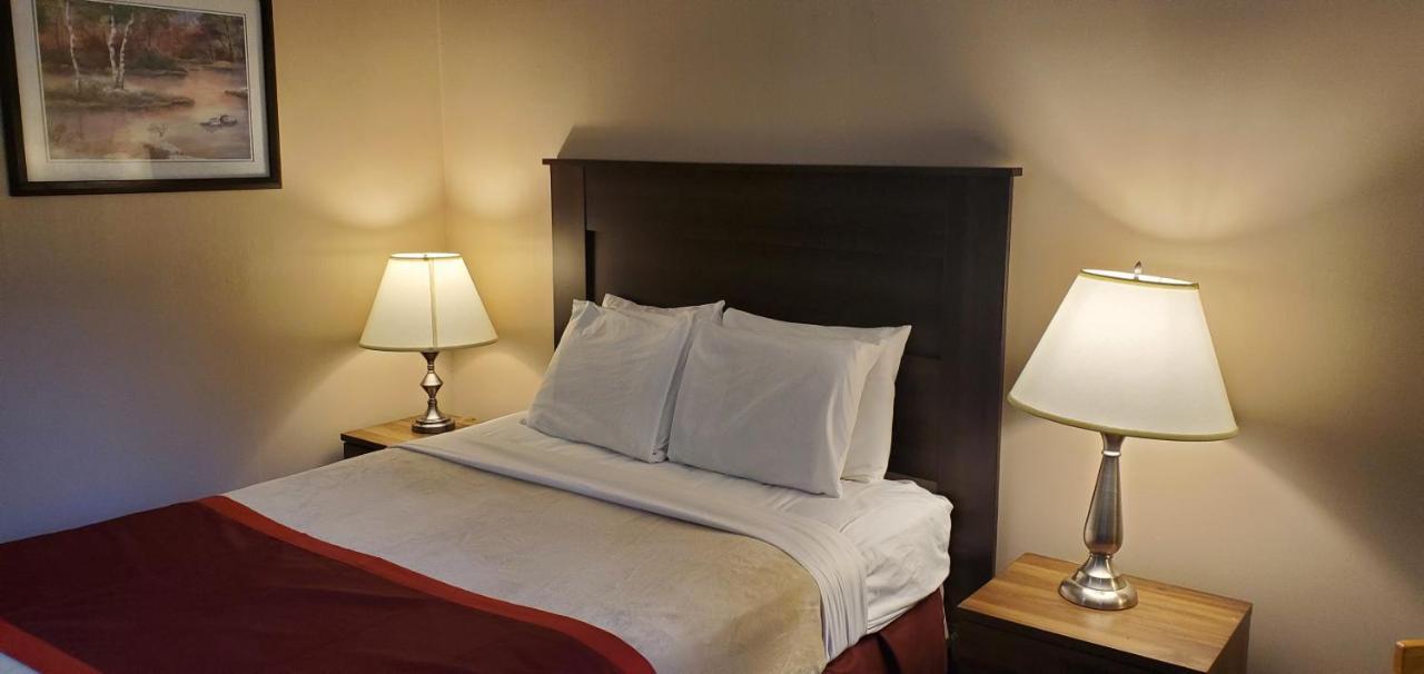 Bellis Inn Bellingham Bagian luar foto