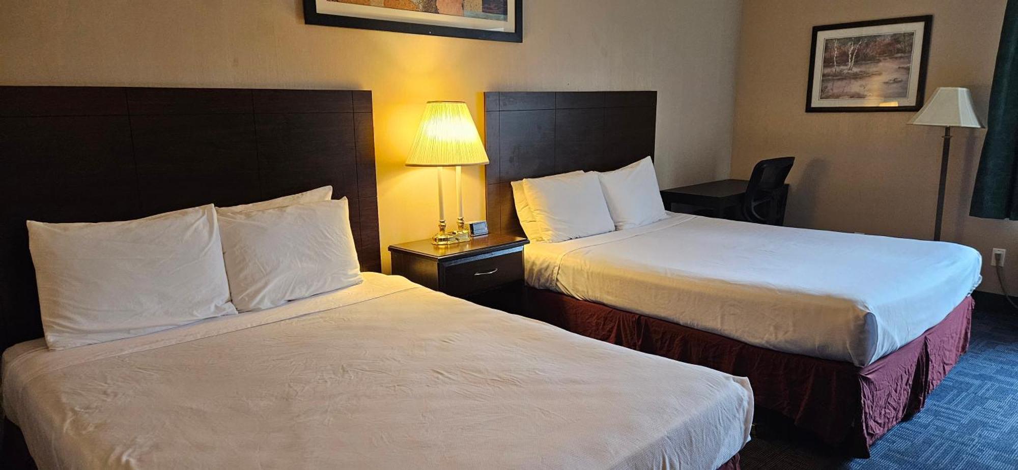 Bellis Inn Bellingham Bagian luar foto