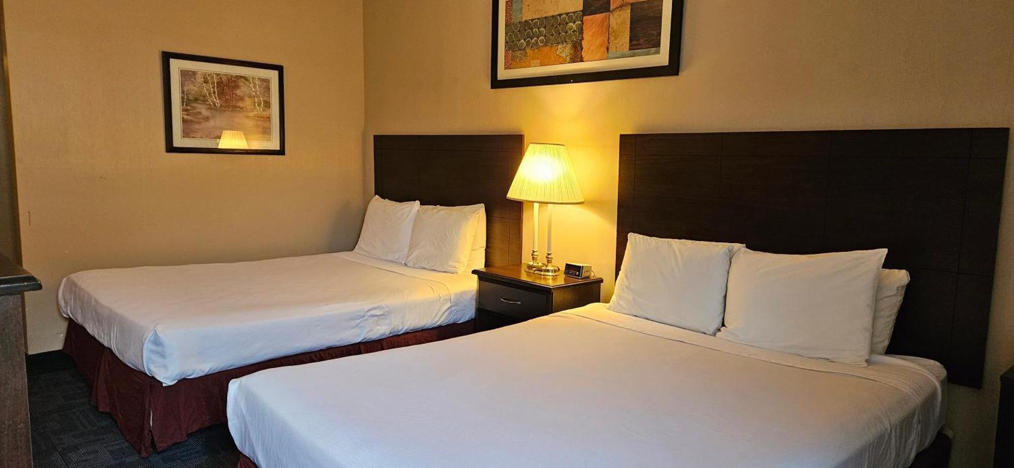 Bellis Inn Bellingham Bagian luar foto