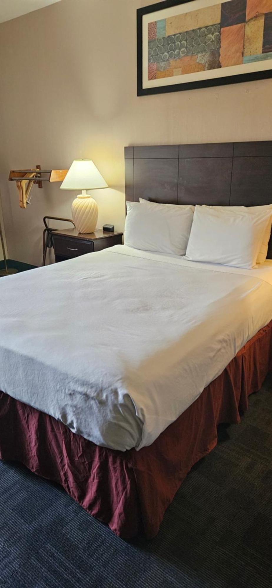 Bellis Inn Bellingham Bagian luar foto