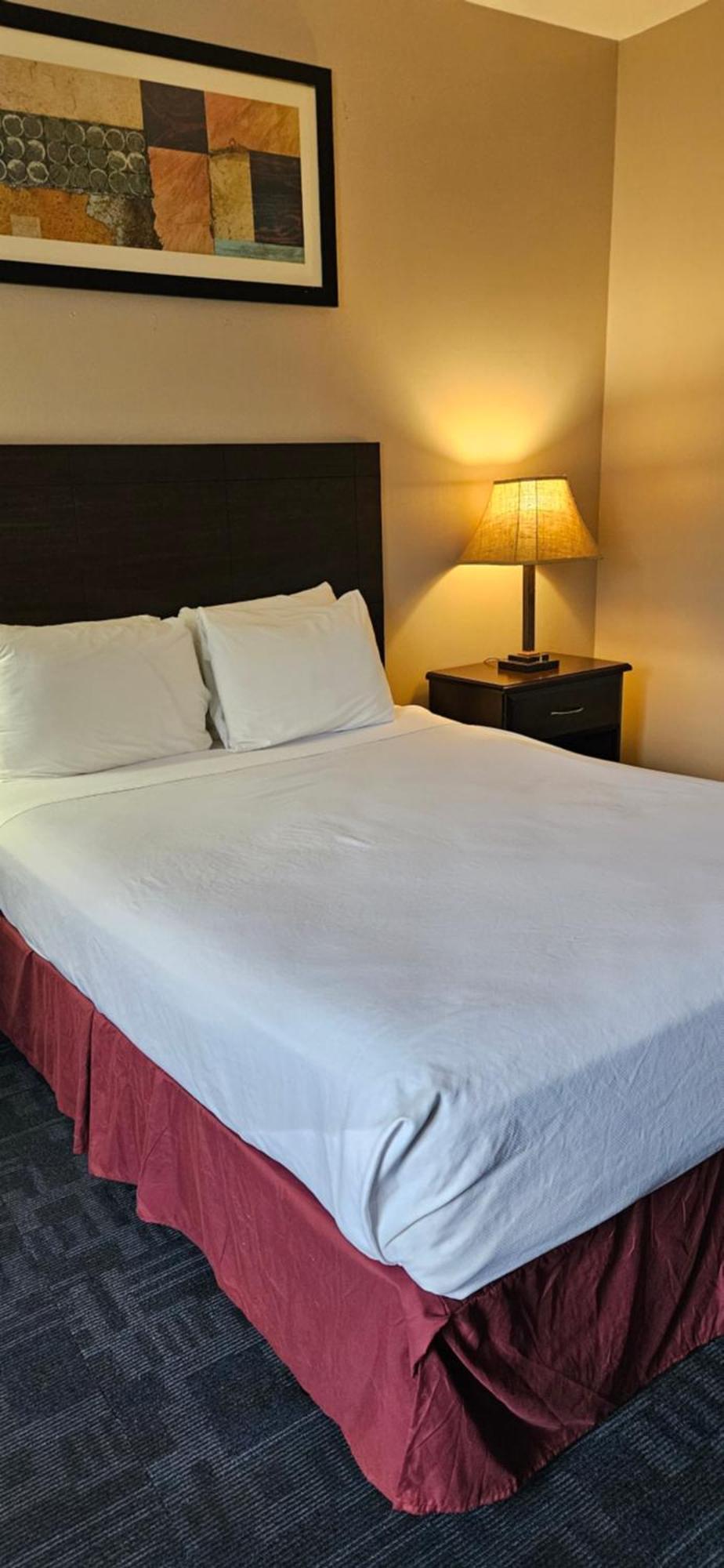 Bellis Inn Bellingham Bagian luar foto