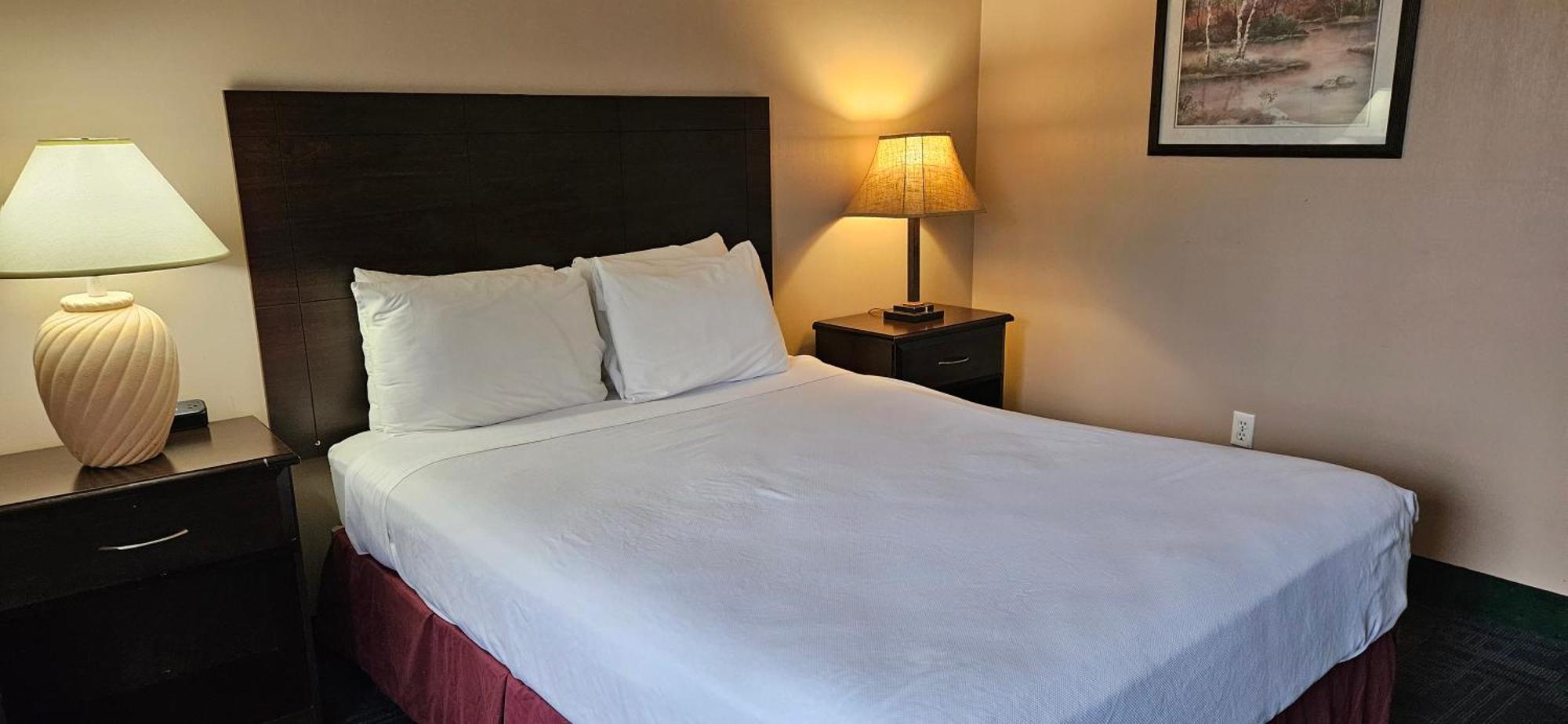 Bellis Inn Bellingham Bagian luar foto