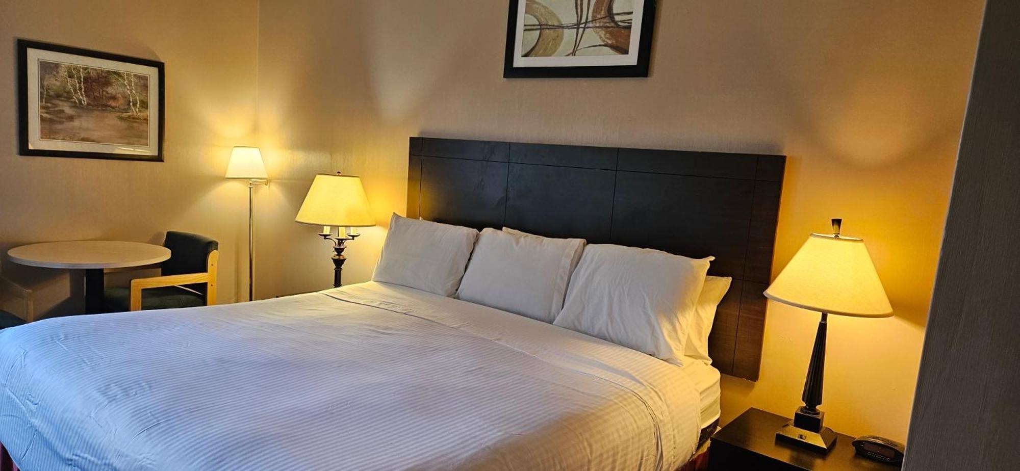 Bellis Inn Bellingham Bagian luar foto